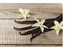 Topas Vanilla chin chin